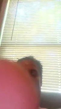 Highfrog1 live