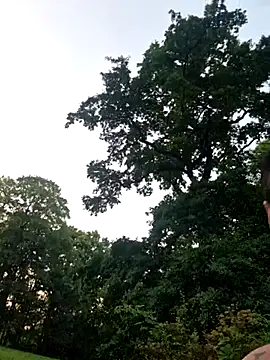 LydiaMaus96 live