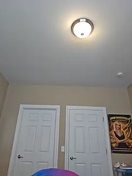 AmethystFoxx live