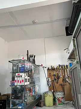 Paul22cm- live