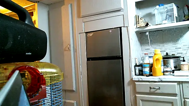 SexyB214 live