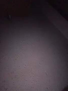Hottiesophie live