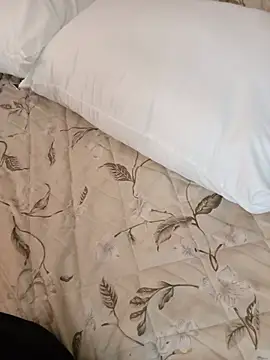 MINI_Petite live