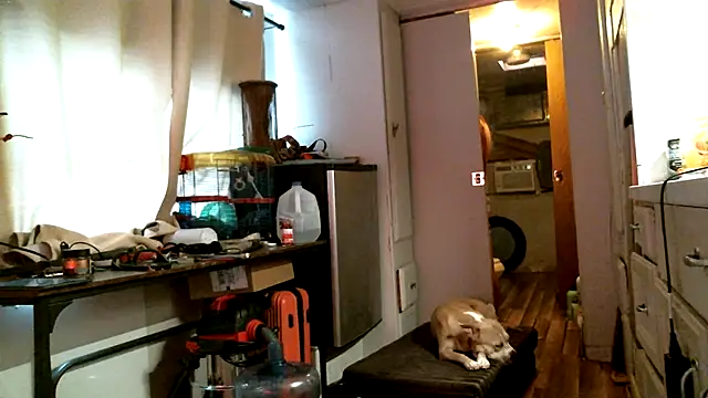 SexyB214 live