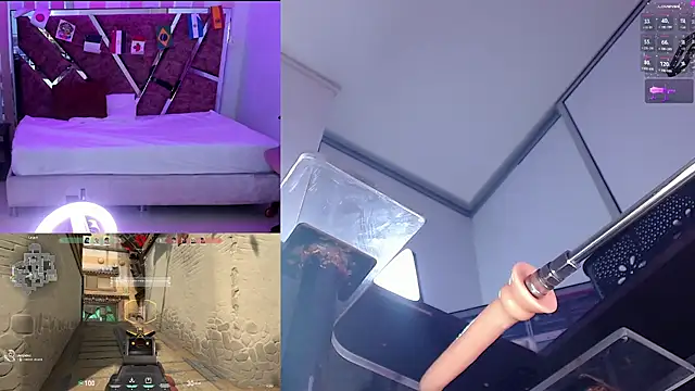 AriHale_ live