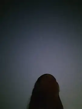 RoomExotic11 live