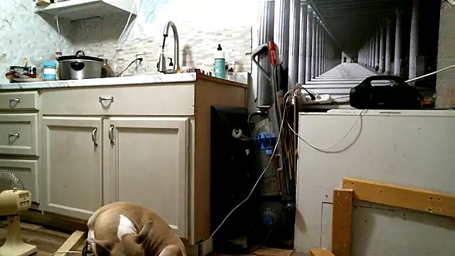 SexyB214 live