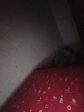 Hottiesophie live