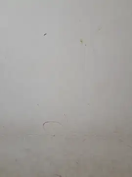 Teri_lella live