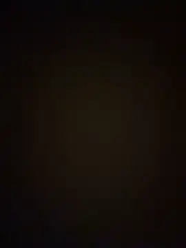 VendiMur live
