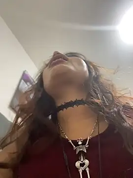 AMY-0317 live