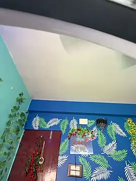 V-Hot-Sweti live