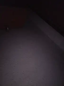 Hottiesophie live