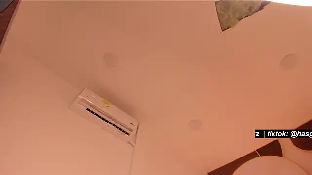 Has_gonzalez live