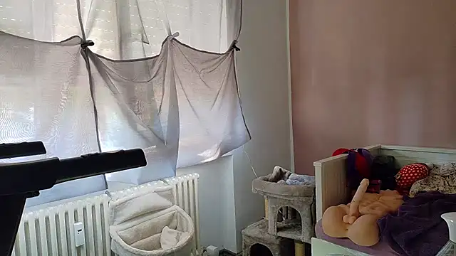 wetgerman_2 live