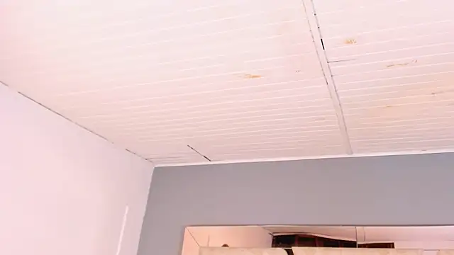 BellaBoobs_ live