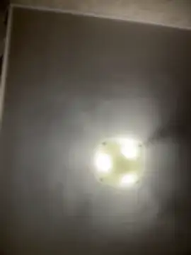 NikaMur live