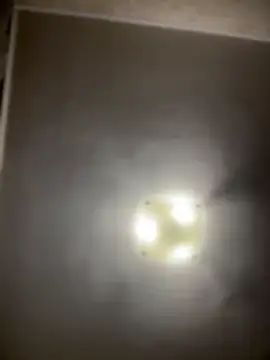 NikaMur live