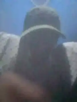 S7LEALTADPERVLIMA7 profile
