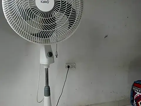 Edy_coltt live