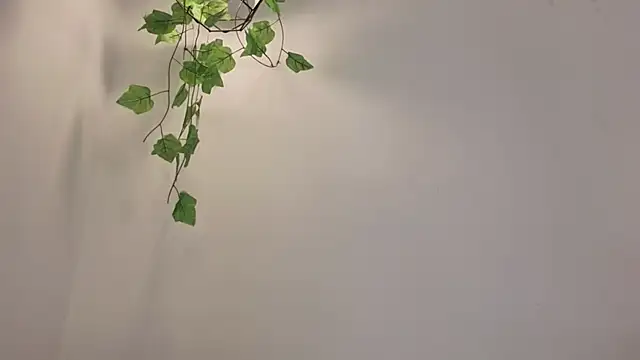 Megan_Lara_ live