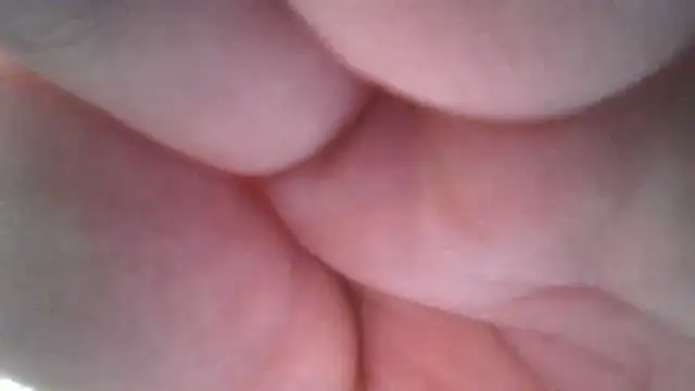 Elizabeth_Meow live
