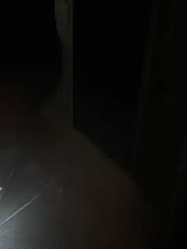 Meimei-bb live