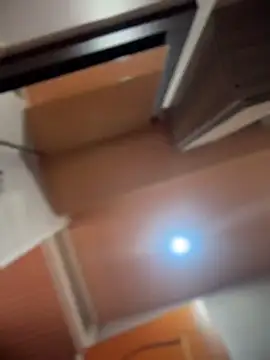 Veronica_Wins_ live