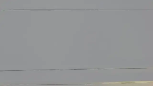 ArianaMilss live