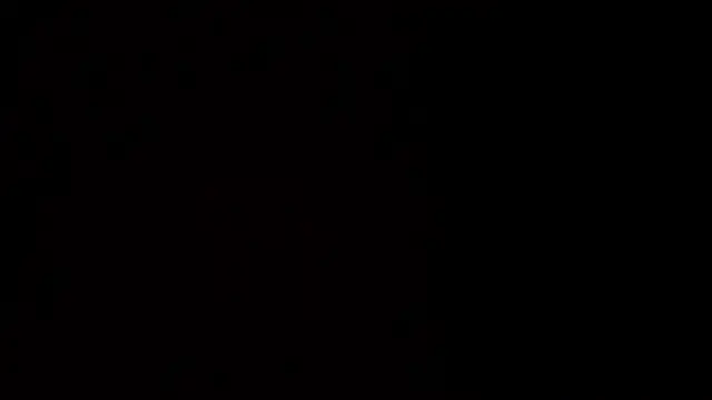 Adhara_Kitten live