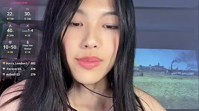 Tammy-66 live