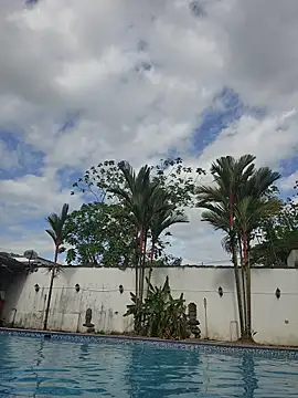 Camila_Fairy live