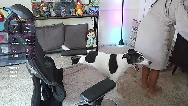Controllercutie live