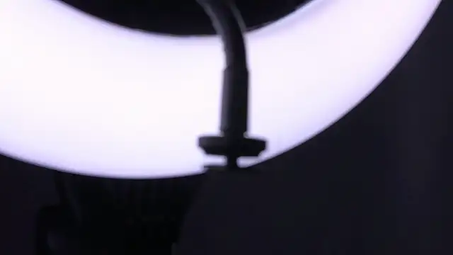 AnniBoobs live