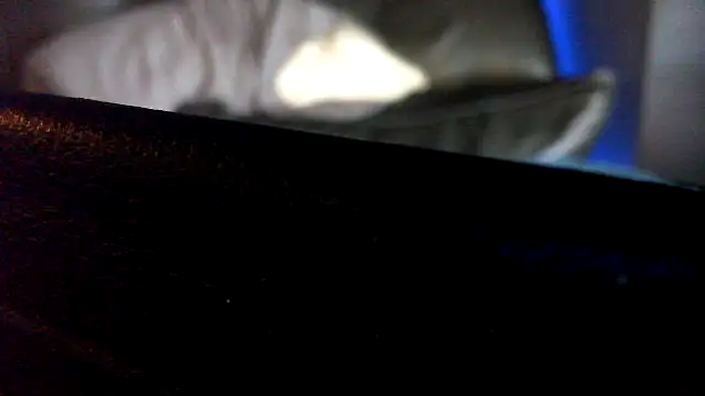 eurodiznee live