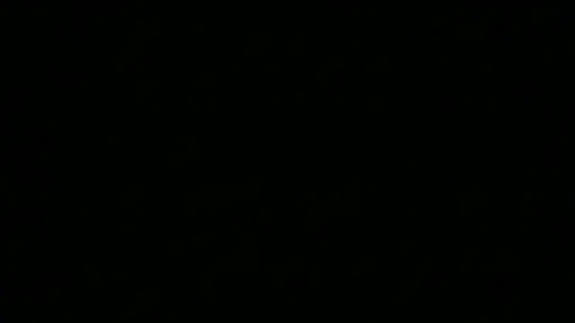 SamuelTal live