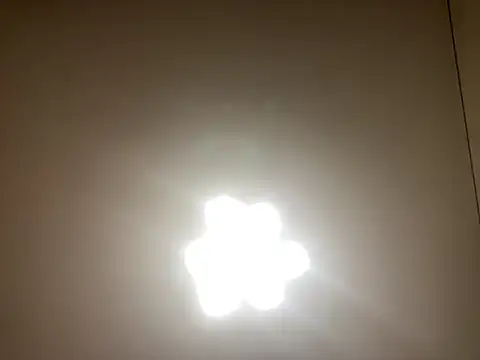 Janet_Welder live