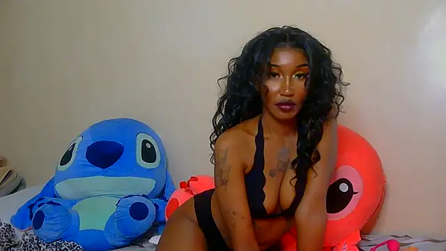 Nova_vybes live