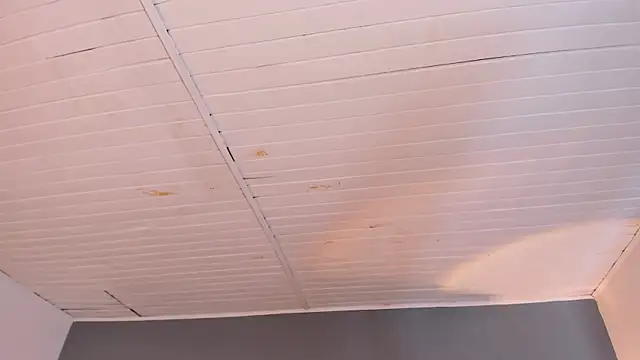 BellaBoobs_ live