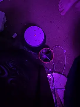 Themechanic420 live