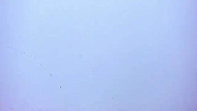 emilyyrouse live