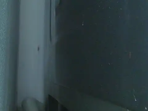 Lauda-aa live