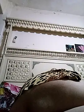 shata_naar live