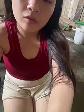 bikhidj live