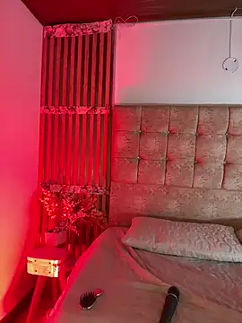 Suis_evangeline live