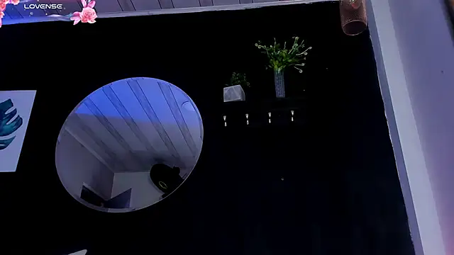 Noaah25_ live