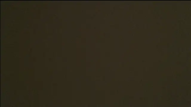AnyEvyy live