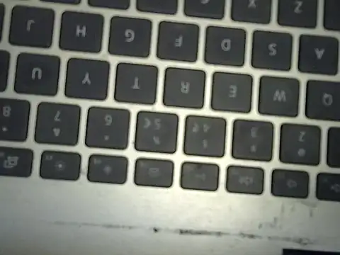 lusty_tanu live