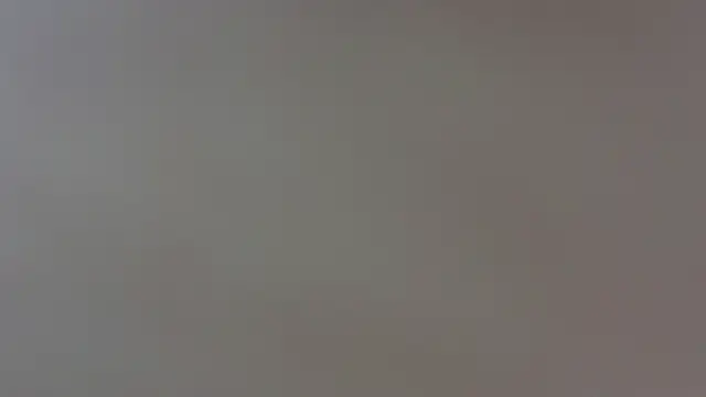 zully_fox live