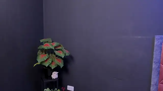 Amy_whittee live